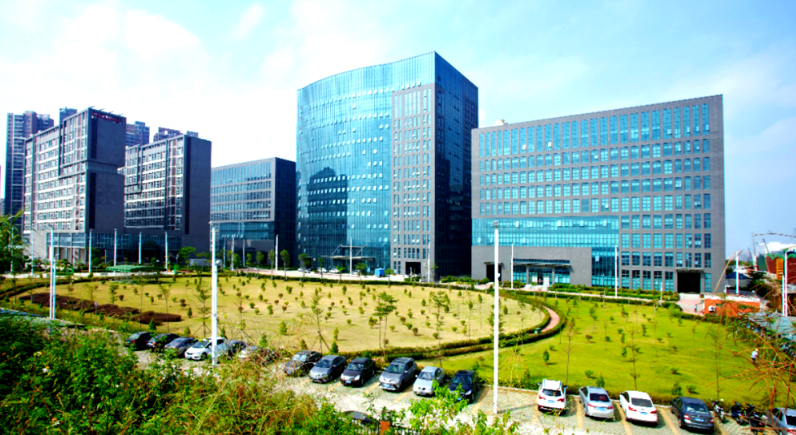 九龙坡区网络技术外包服务：企业网站搭建与程序开发全流程解析